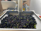Extra Virgin Olive Oil - Santa Marta. Available in 500mL or 1-Litre